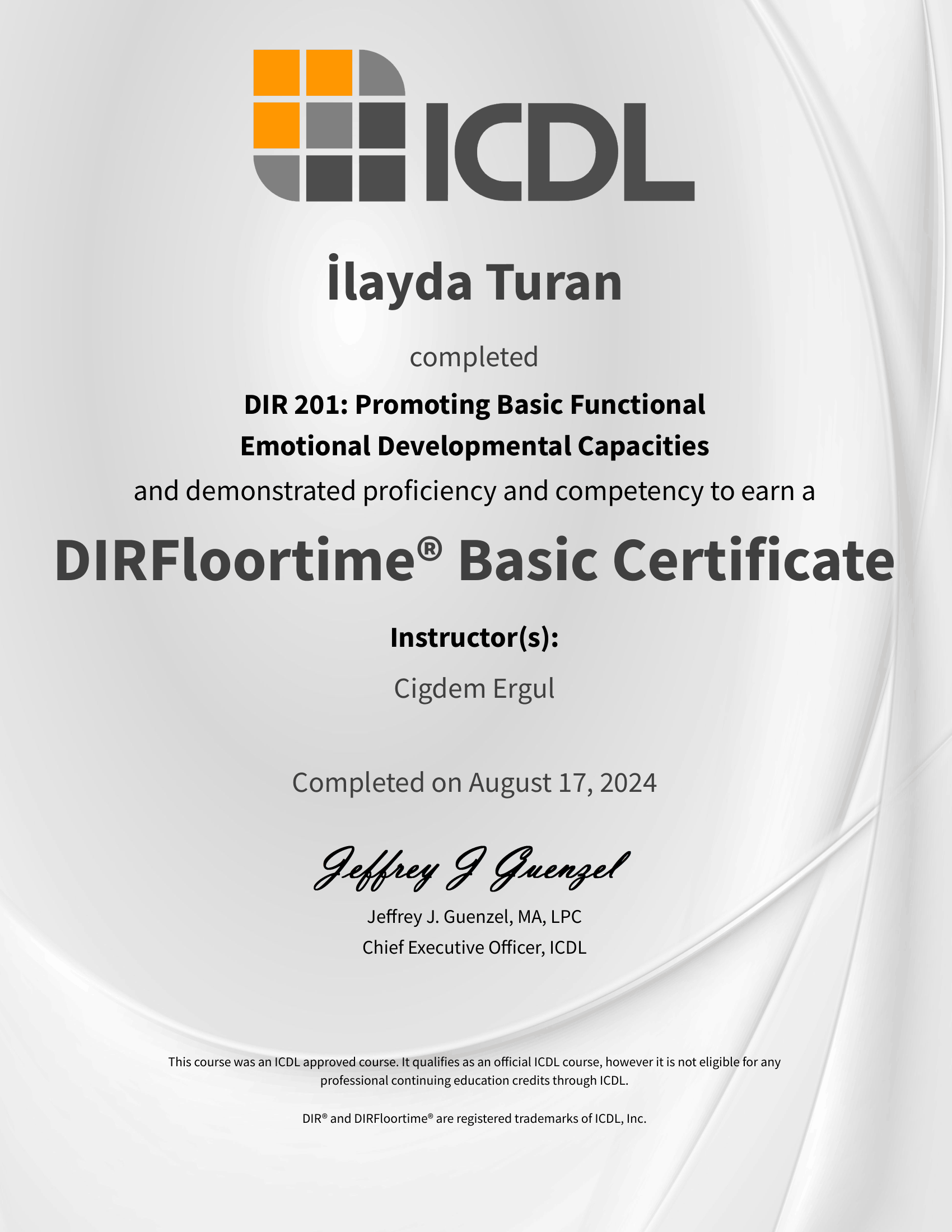 DIR® Floortime Basic Certificate sertifikası